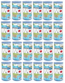 Intex Type A Easy Set Pool Filter Cartridge (24-Pack) | 29000E (59900E)