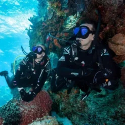 Tusa Hyperdry Elite II Dry Top Snorkel -Intex Shop GUEST 2071ed91 662a 4ee5 956b 50ce502fbbb7