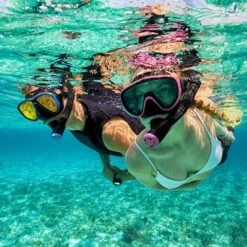 Tusa Sport Adult Dry Snorkel -Intex Shop GUEST 2b614109 fb20 40e0 b8b3 ce1312c8d0c3