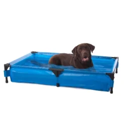 Pet Pool -Intex Shop GUEST 9d7a6477 f40c 4e6c 889b 5ce0fb48aa2d